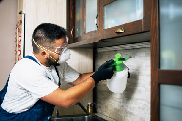 Best Insect Control  in Fair Oaks, CA