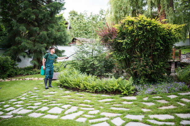 Best Rat Extermination Near Me  in Fair Oaks, CA