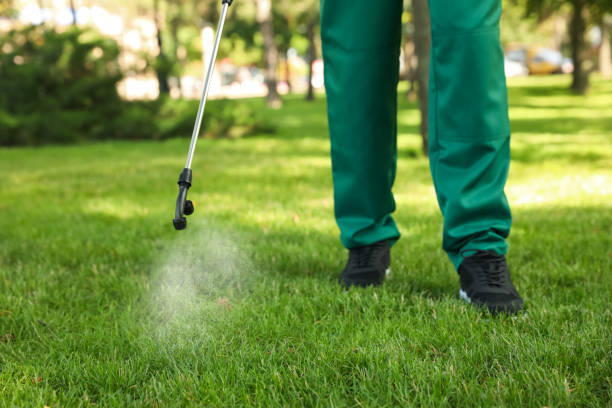 Best Pest Inspection Near Me  in Fair Oaks, CA
