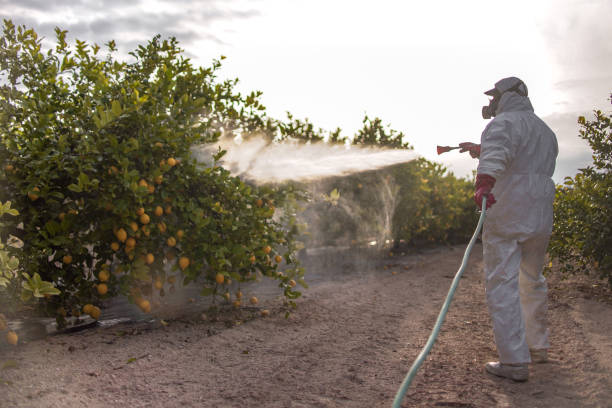 Best Mosquito Control Services  in Fair Oaks, CA