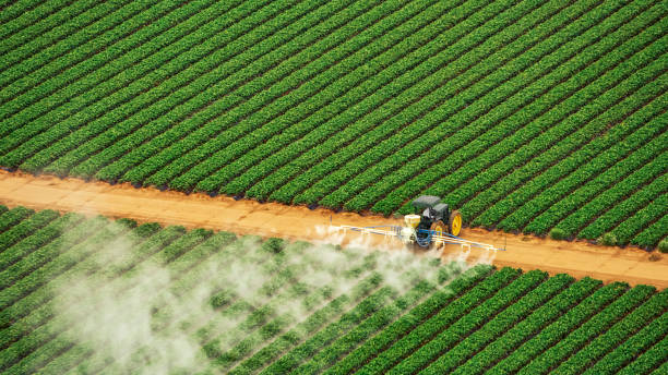 Best Mosquito Control Services  in Fair Oaks, CA