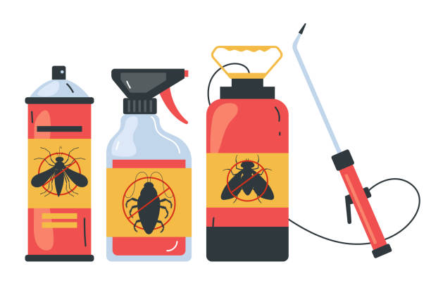 Best Termite Control Services  in Fair Oaks, CA