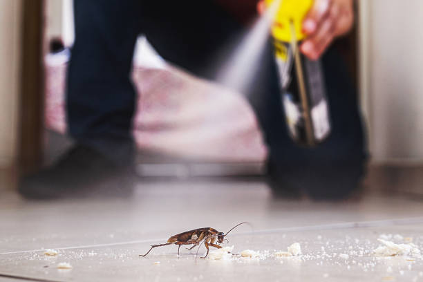 Flea Control Services in Fair Oaks, CA