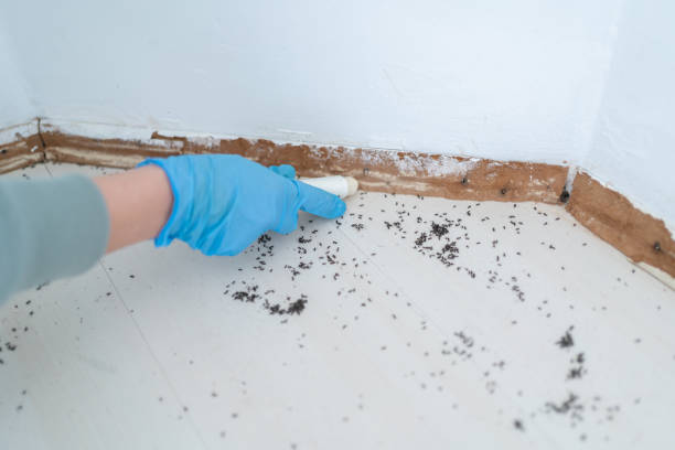 Best Best Pest Control Companies  in Fair Oaks, CA