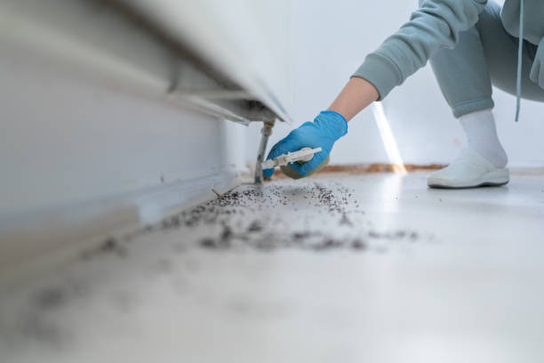 Fair Oaks, CA Pest Control Company