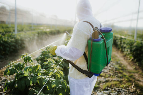 Best Wasp Removal Services  in Fair Oaks, CA